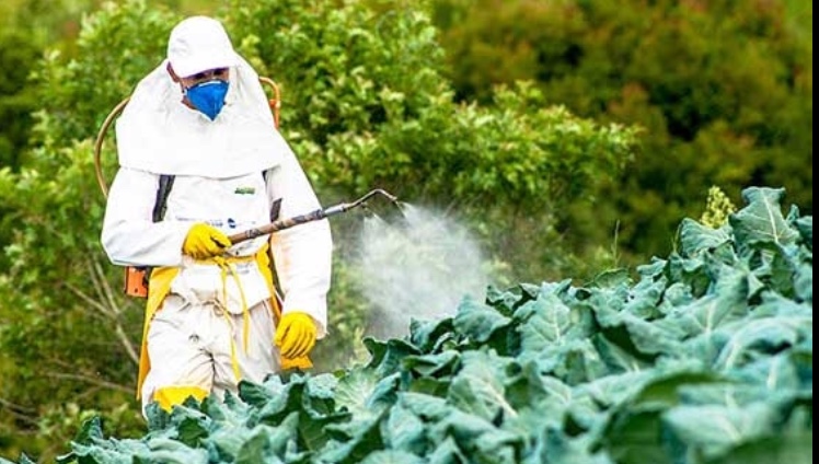 File:Generic pesticide use.jpg