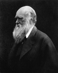Charles Darwin Portrait.jpg
