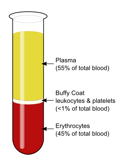 File:Bloodcomposition.png