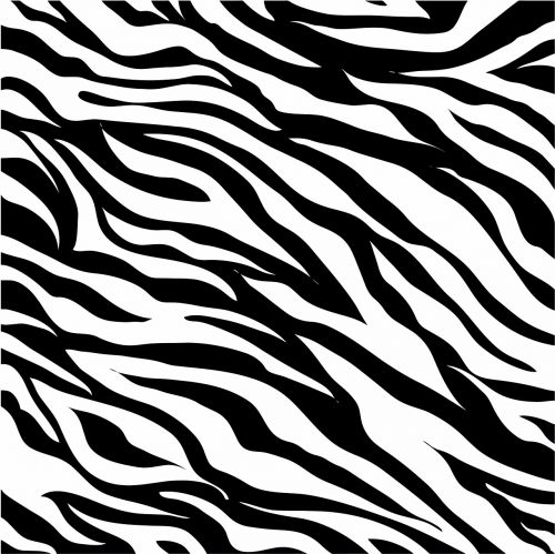 File:Zebra rare disease.jpg