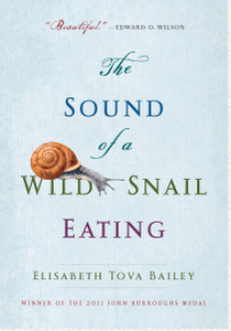 File:The Sound of a Wild Snail Eating.png