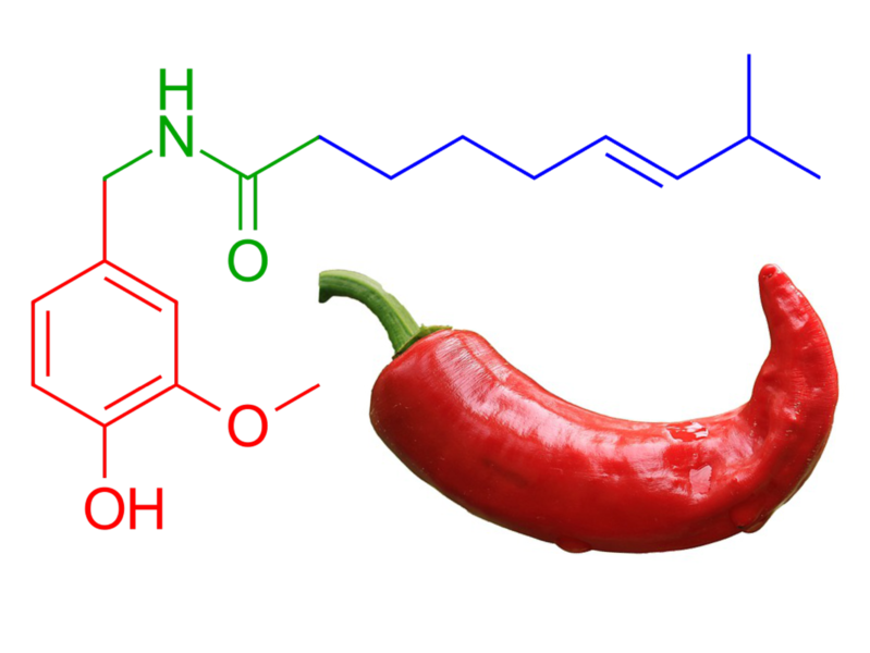 File:Capsaicin chili pepper.png