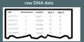 Raw DNA test results example.jpg