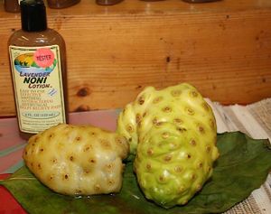 Photo of a bottle and noni juice with two noni fruits.