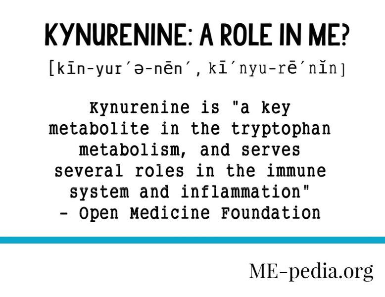 File:Kynurenine a role ME CFS.jpg