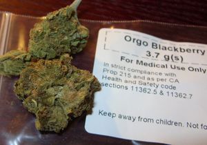 dried blackberry marijuana labelled for medical use