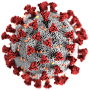 Covid-19-virus.png