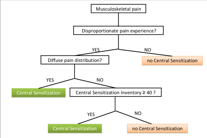 File:Algorithm-for-the-classification-of-central-sensitization-CS-pain.png