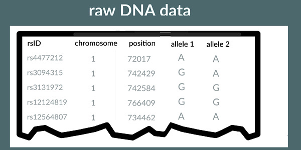 File:Raw DNA test results example.jpg