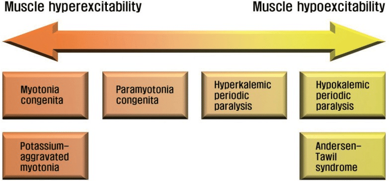 File:Muscle Channelopathies.png