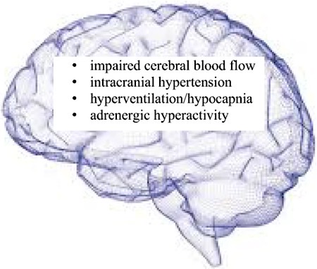 File:MECFS-neuroeffects-brain.jpg
