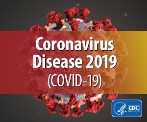 File:CDC-Coronavirus-badge-300.png
