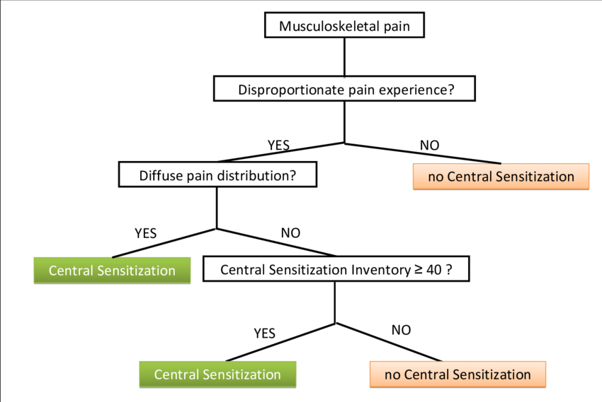 Central sensitization - MEpedia