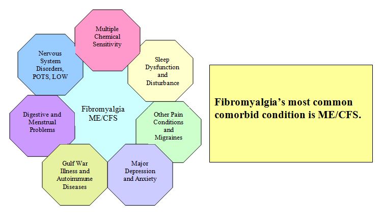 File:Comorbids and overlapping conditions of fibromyalgia.jpg