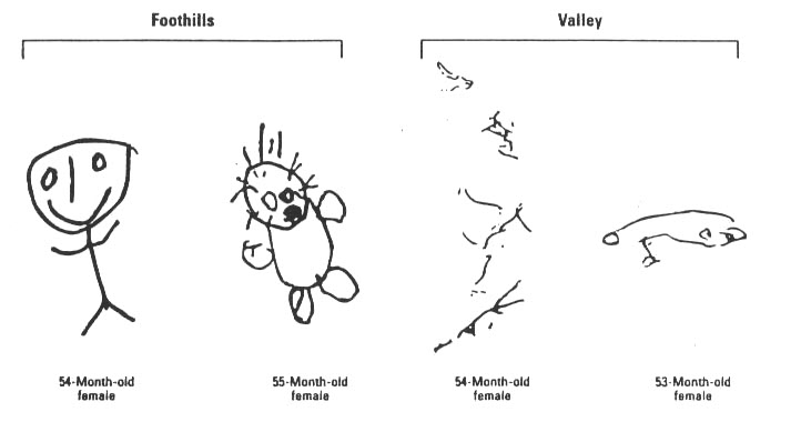 File:Drawings by children exposed and not exposed to pesticides.jpeg