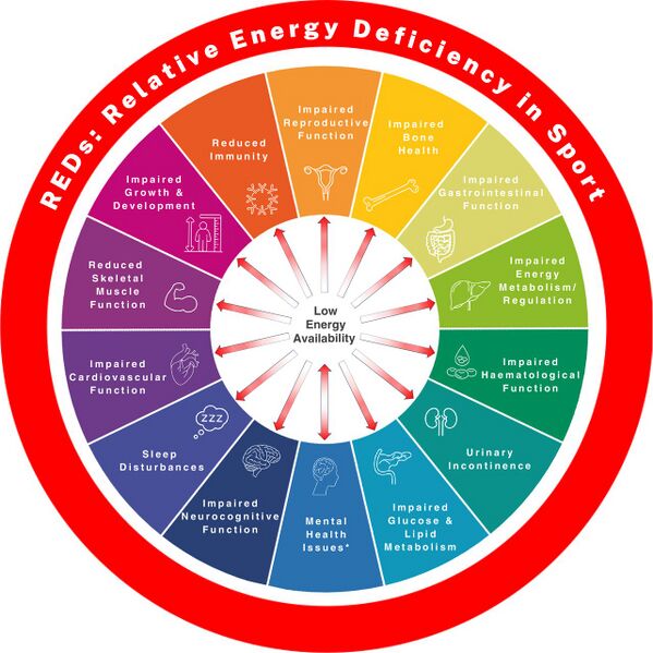 File:REDs affecting body functions.jpeg