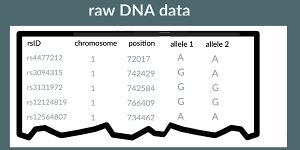 Raw DNA test results example.jpg