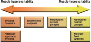 Muscle Channelopathies.png