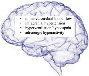 Sketch of a brain with words inside saying intracranial hypertension, impaired cerebral blood flow, hyperventilation/hypocapnia, and adrenergic hyperactivity.