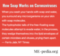 How soap works coronaviruses.png