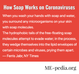 How Soap Works on Coronaviruses. "When you wash your hands with soap and water, you surround any microorganisms on your skin with soap molecules. The hydrophobic tails of the free-floating soap molecules attempt to evade water; in the process, they wedge themselves into the lipid envelopes of certain microbes and viruses, prying them apart." - Ferris Jabr, New York Times