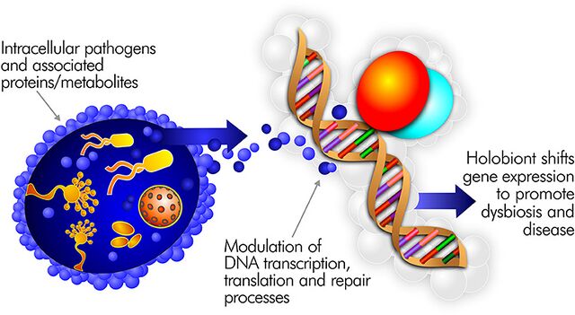 Pathogen - MEpedia