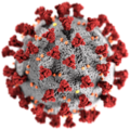 CDC visualization of the SARS-CoV-2 virus