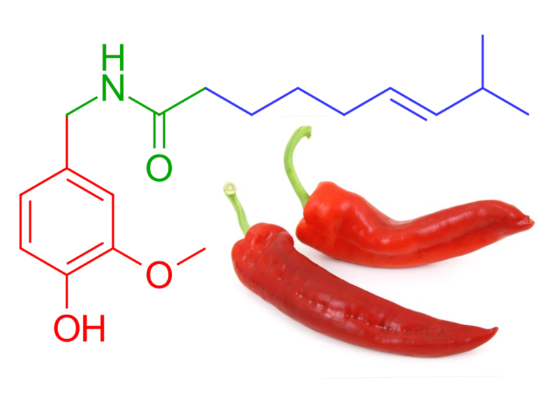 File:Capsaicin peppers.png