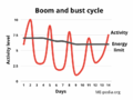 Boom-bust-cycle-ME-CFS-crashes.png
