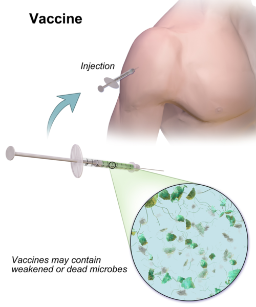 File:Vaccine.png
