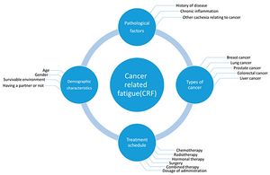 Cancer-fatigue-risk-factors.jpg