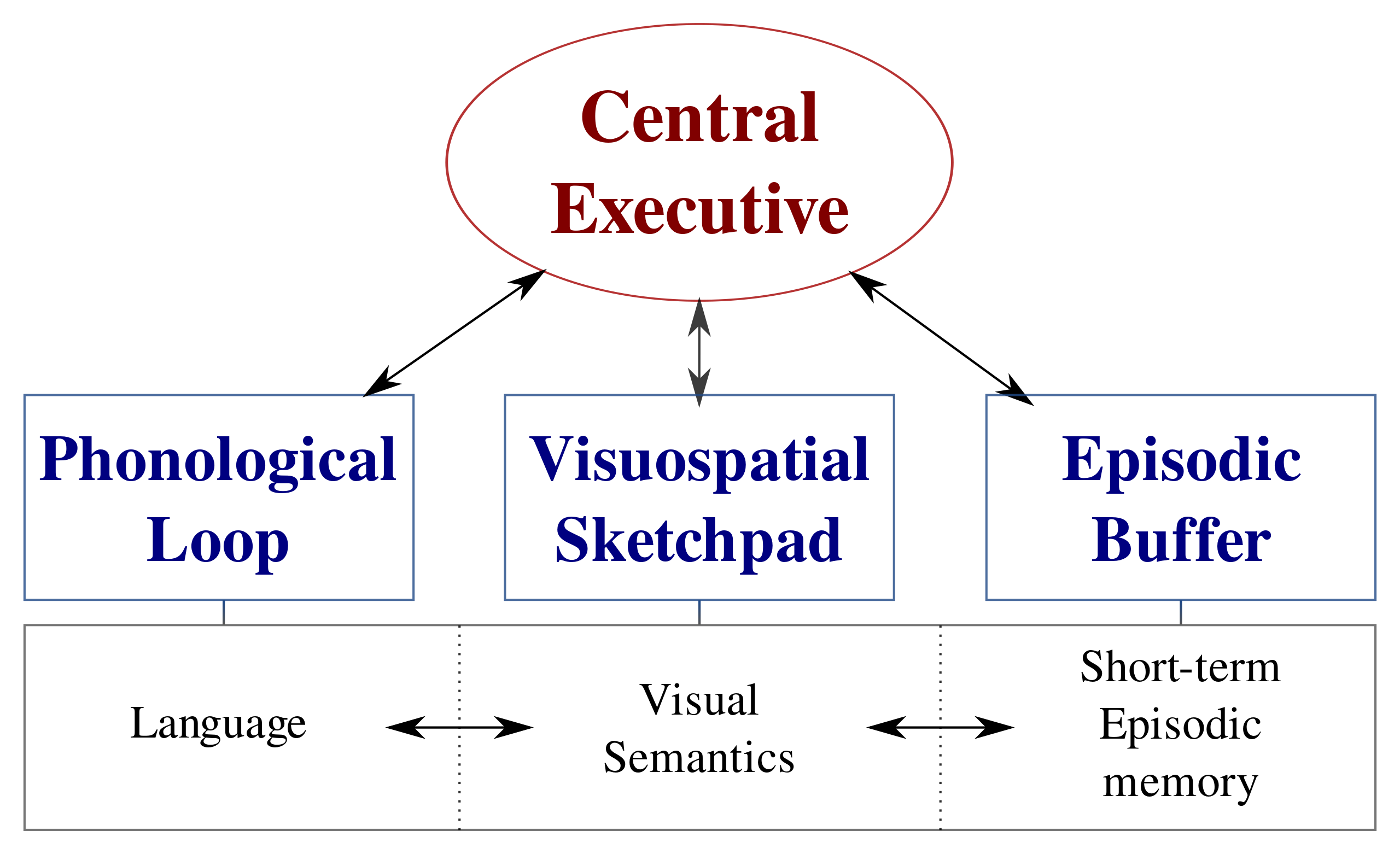 File:Working-memory-en.svg - MEpedia