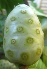 Photo of a large, pale green fruit shaped like an oval.
