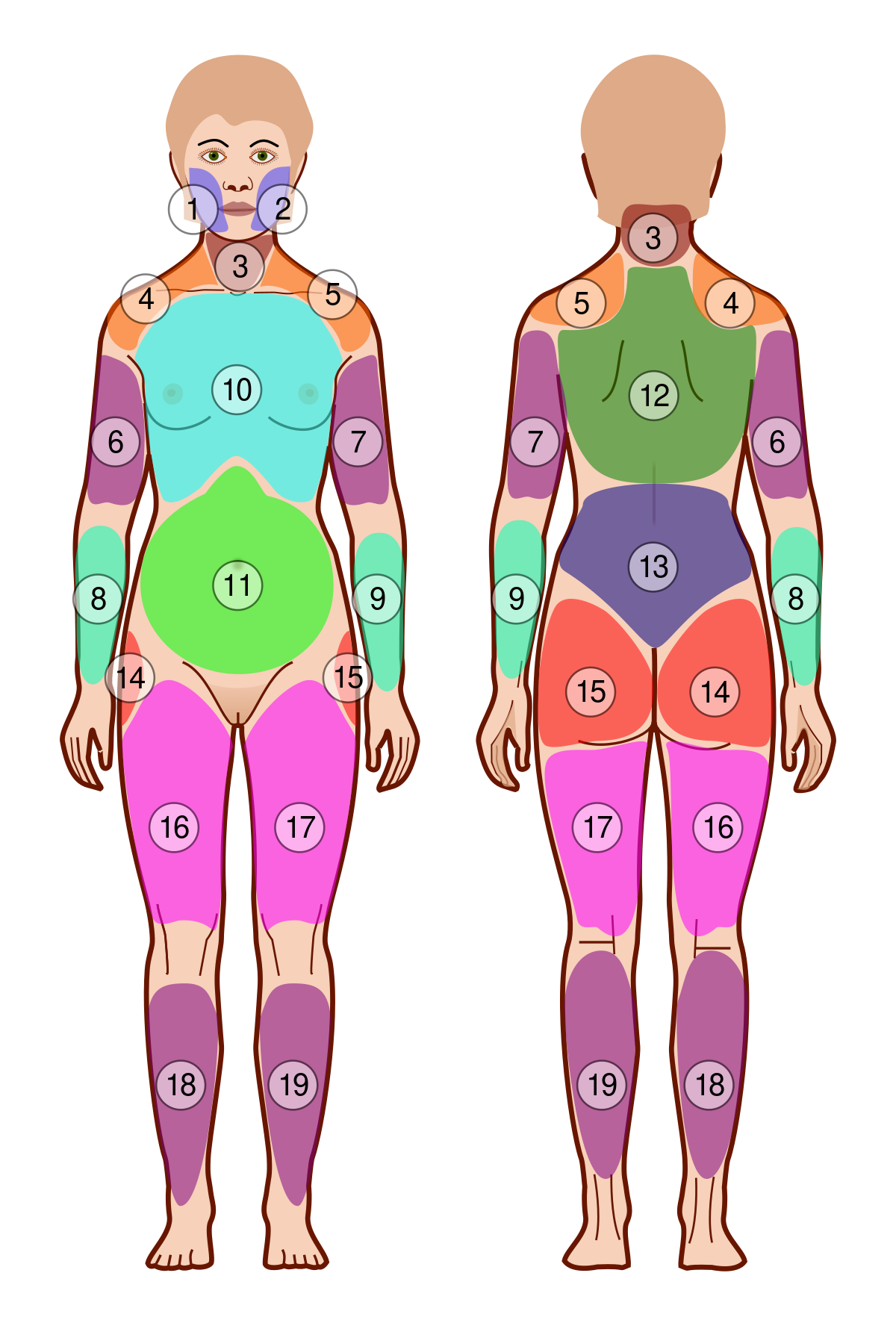 File:Widespread Pain Index Areas with numbers.svg - MEpedia