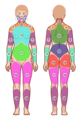 Widespread Pain Index Areas with numbers.svg