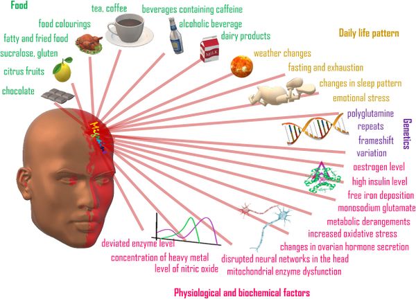 Migraine triggers. Source: Biomedicine & Pharmacotherapy, 139, 111557[2]