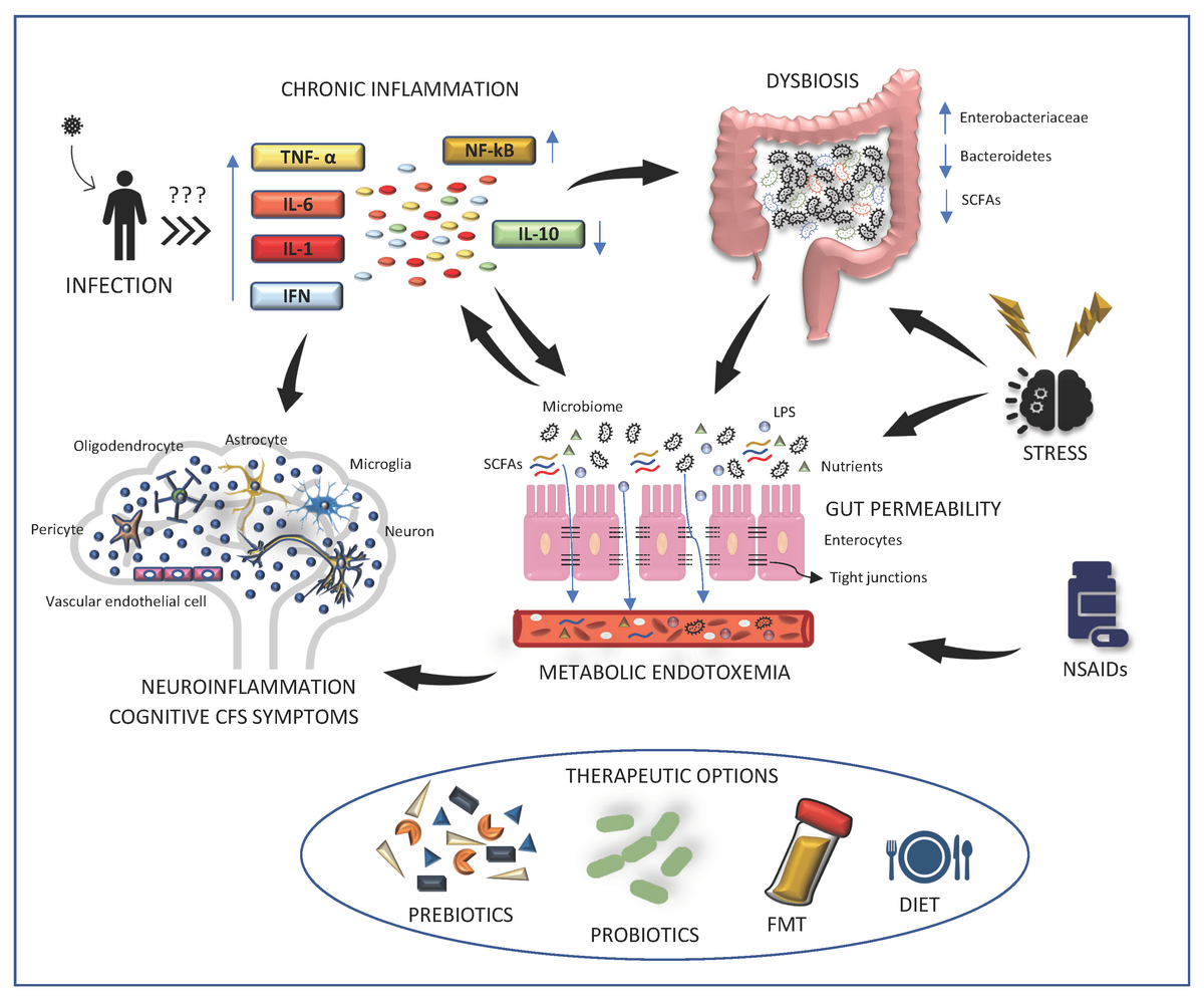 dysbiosis