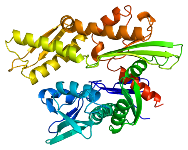 Heat shock protein MEpedia